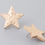 Thumbnail: I'm A Star Indented Earrings