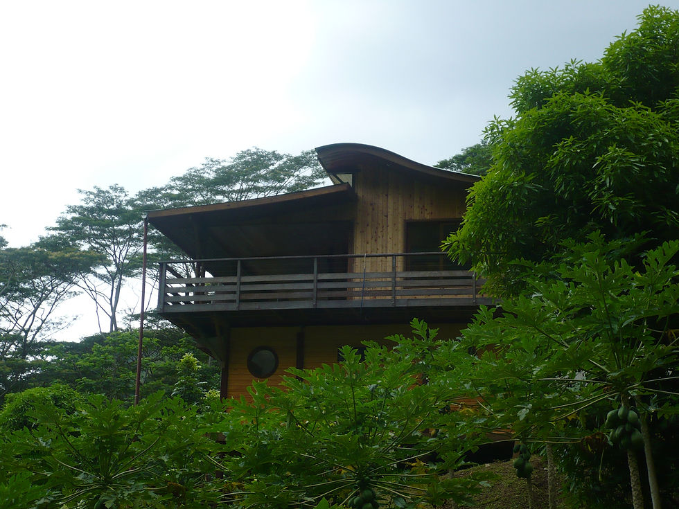 ECO 2012