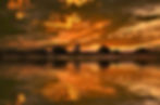 Of A Marigold Evening