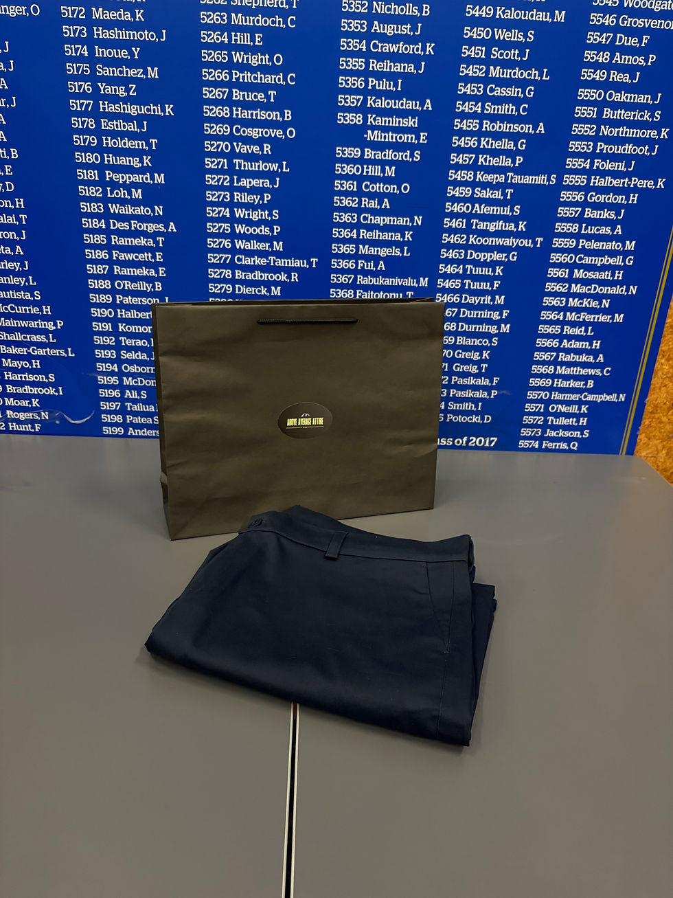 Navy AAA Chinos