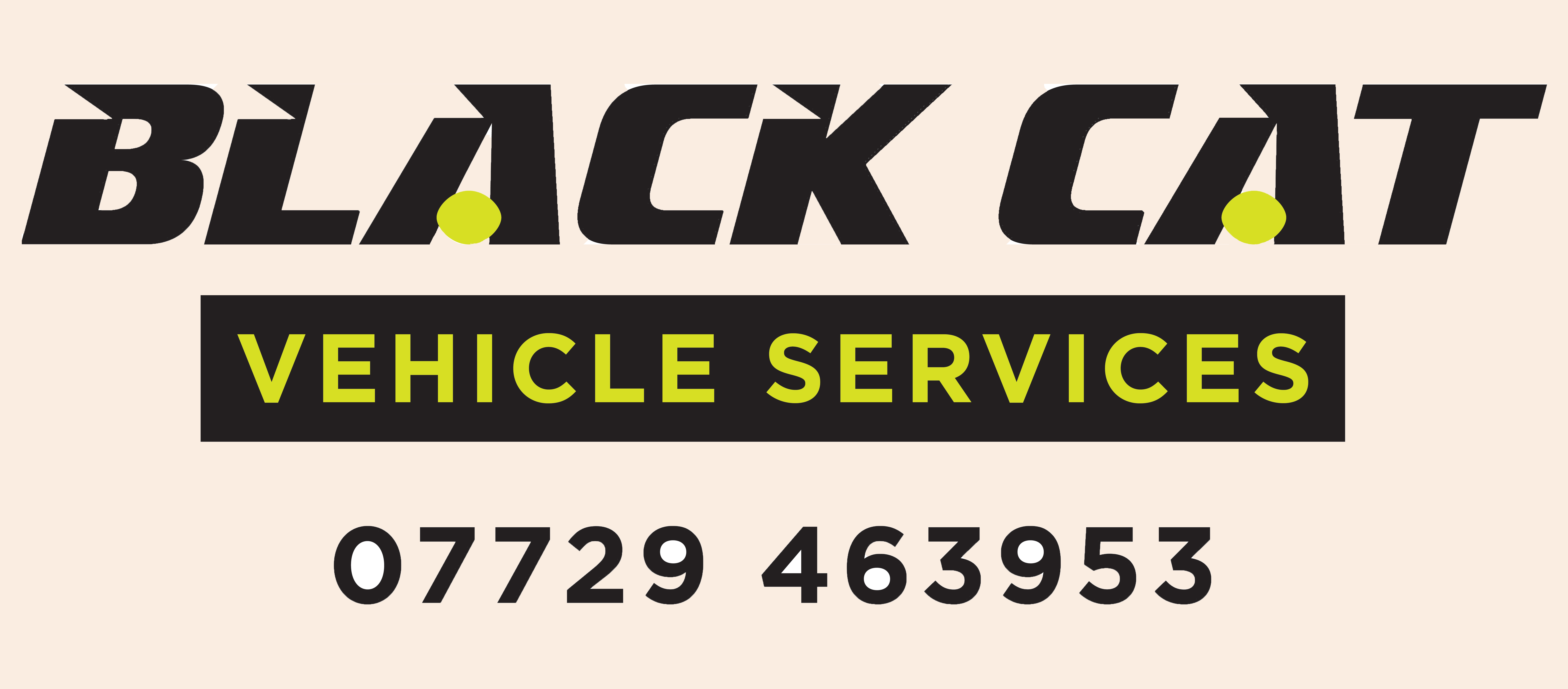 black cat vehicle services logo