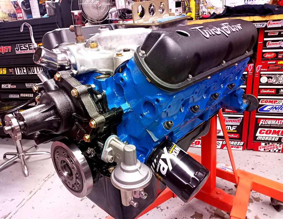 Ford 302 for Restomod Mustang