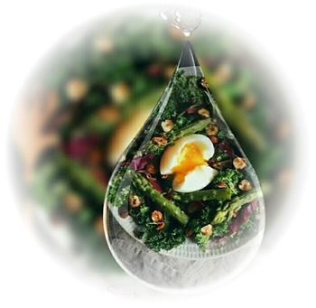 Cancer Awareness Quiz – For Adults | Somers Legacy Roots & Remedy