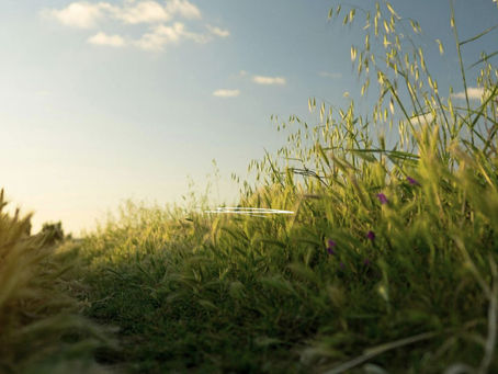 St. Mary Magdalene: The First Evangelist and Our Call to Personal Communication