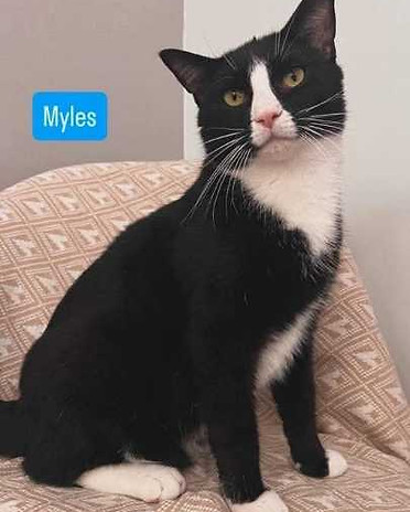 myles.jpeg