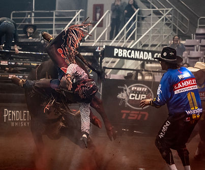 PBR .jpg