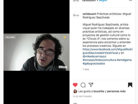 Breve entrevista en AMALGAMA en elCEIIDA UANL