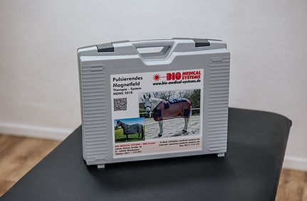 VetMedPhysio-8202.jpg
