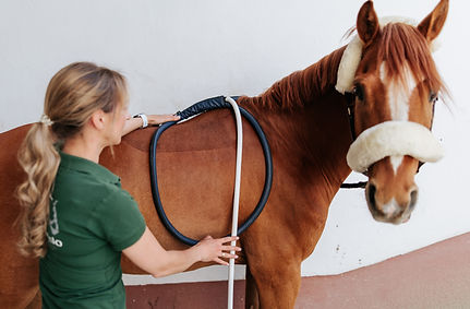 VetMedPhysio-1424.jpg