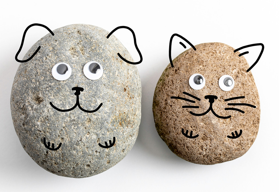 Pet rock with googly eyes stuck to it.jpg