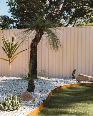 Lifestyle shot of the desert garden featuring a prominent grass tree.