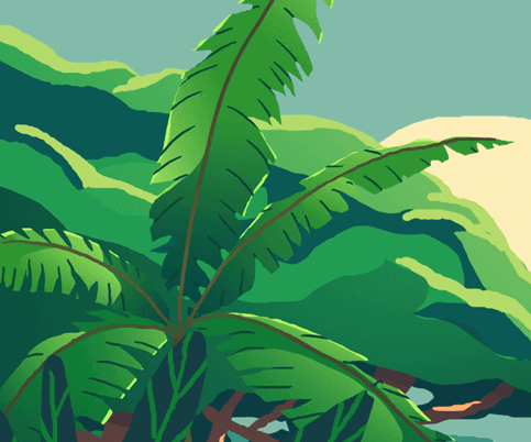 clima agua plantar arvores amazonia meu pe de arvore (4).png