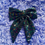 Thumbnail: Black Sequin Hair Bow