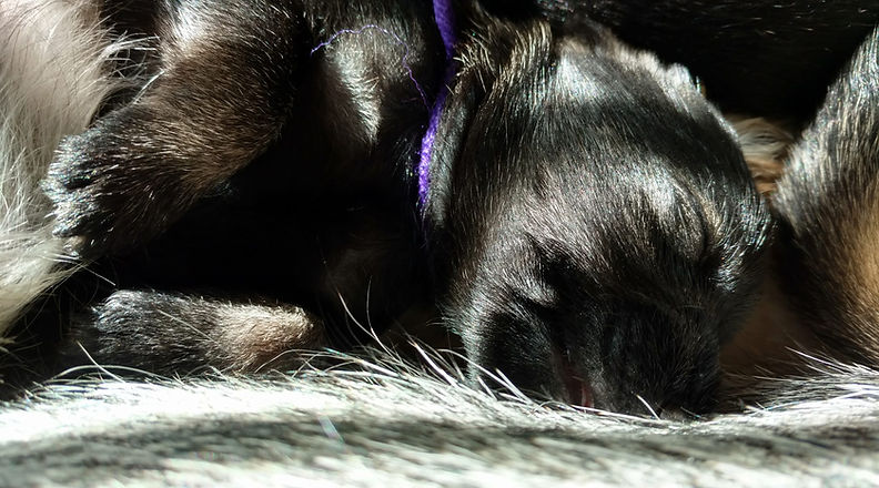 Baby Diana Sleeping