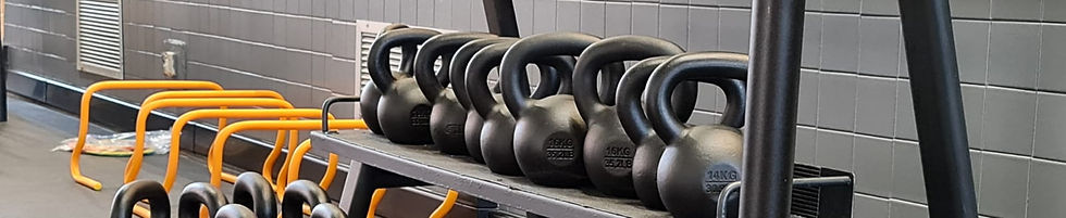 freetime weights.jpeg