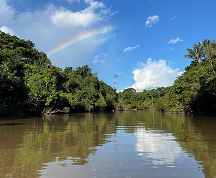 a peaceful rainforrest retreat designed to help you relax and reconnect