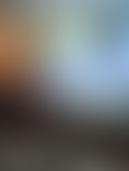 Estratégia, sensibilidade e oportunidade