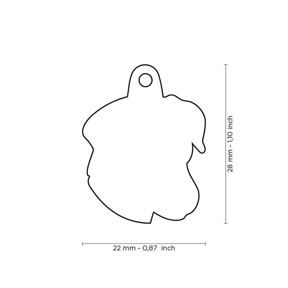 Placa de identificación Jack Russell Blanco y Marrón | My Family