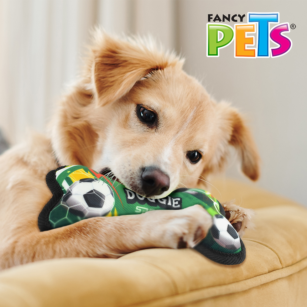 Miniatura: Juguete de tela Hueso Soccer | Fancy Pets