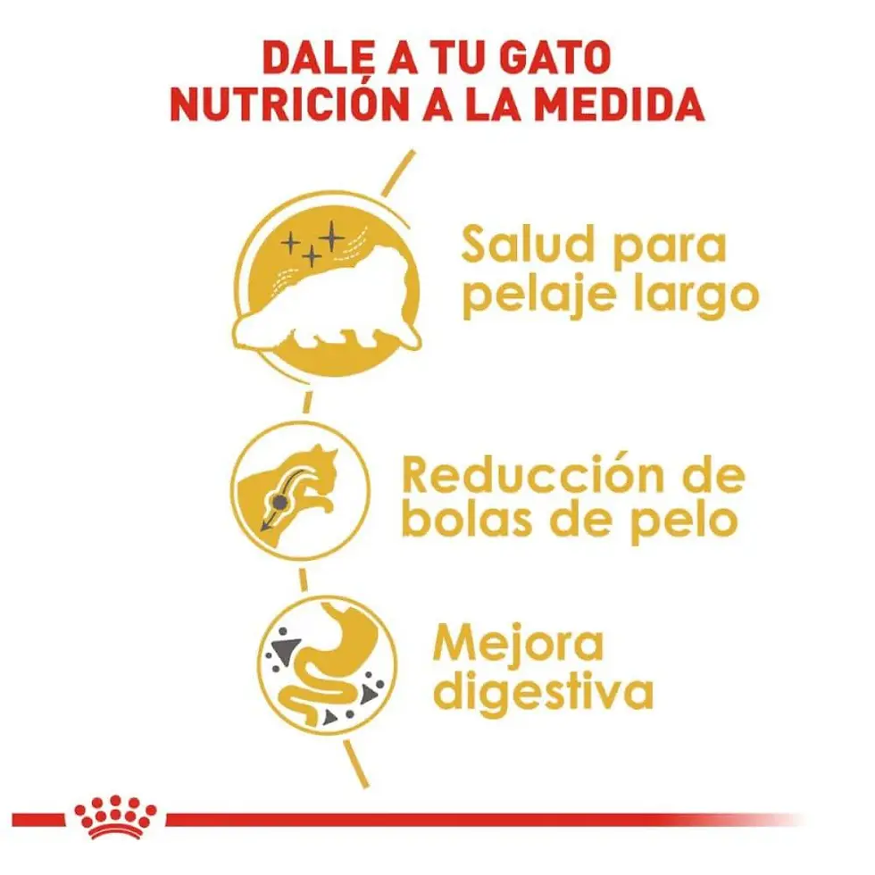 Royal Canin Persian Adult 3.1Kg | Royal Canin