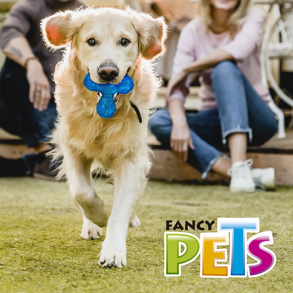 Miniatura: Juguete satélite flexible con sonido Grande | Fancy Pets