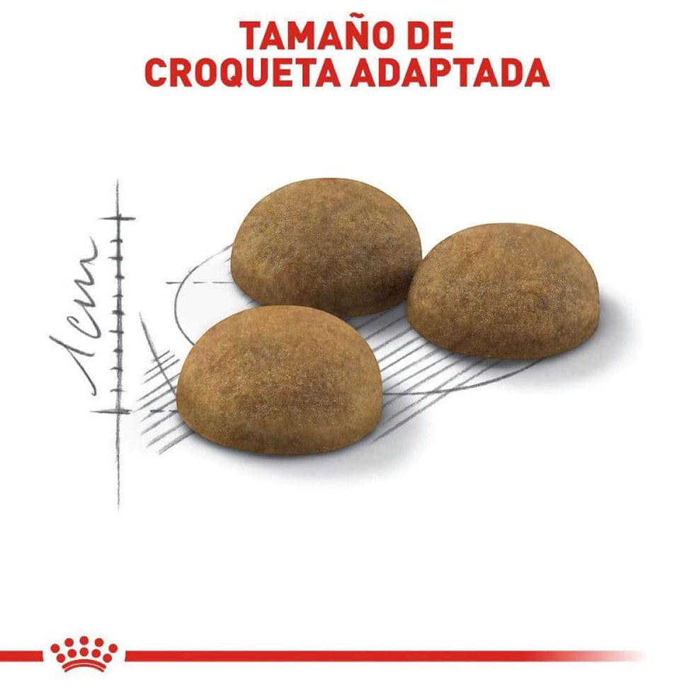 Miniatura: Royal Canin Indoor Adult | Royal Canin