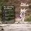 Miniatura: Daily Multi Vitaminas Para Perros | Pet Naturals