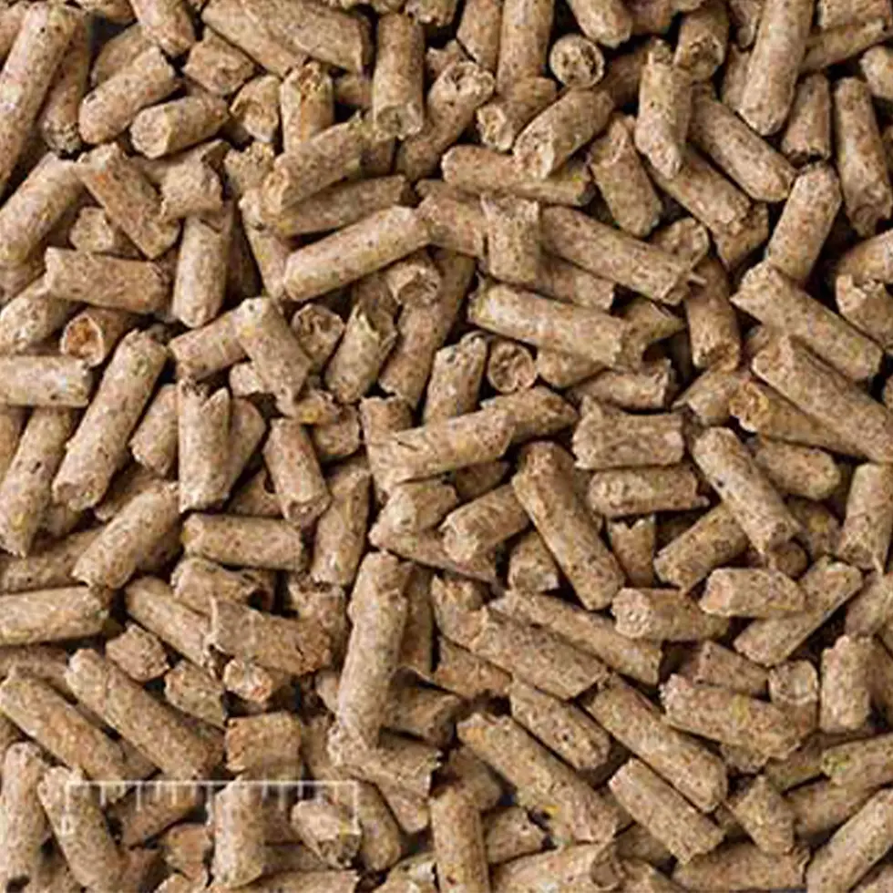 Miniatura: Mazuri Alpaca & Llama Maintenance Diet 50 lb (22.67 kg) | Mazuri