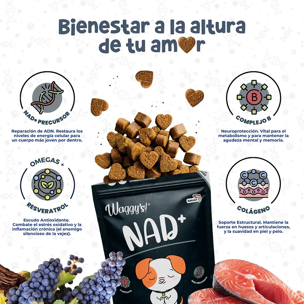 Miniatura: Waggy's® Premios suaves NAD+ Antienvejecimiento y Vitalidad 60 piezas | Waggy's!