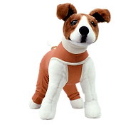 Copper Vet Body de cobre 2x