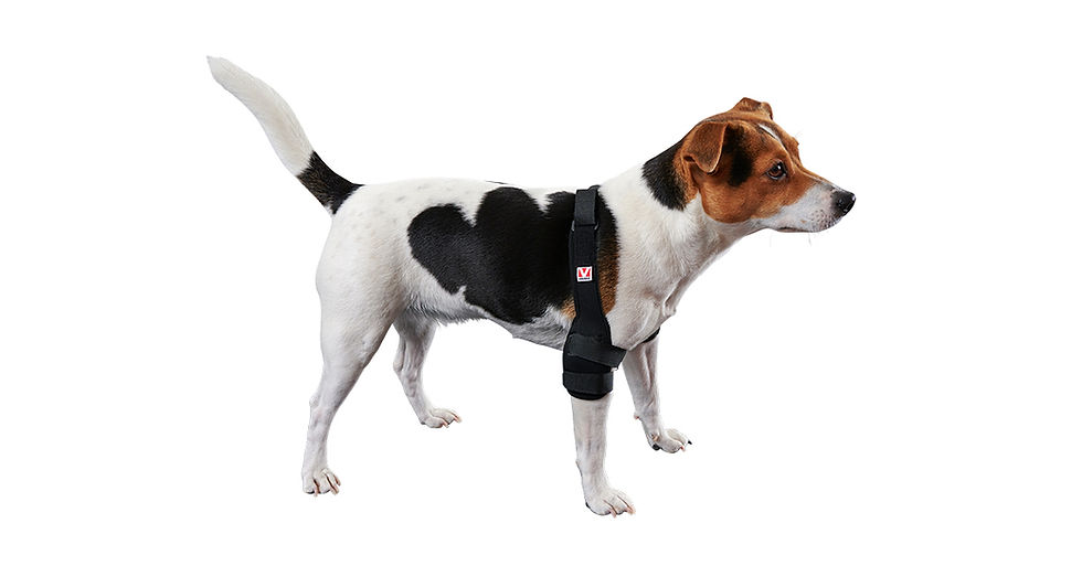 Miniatura: Protector Pro de codo Rehab | Kruuse