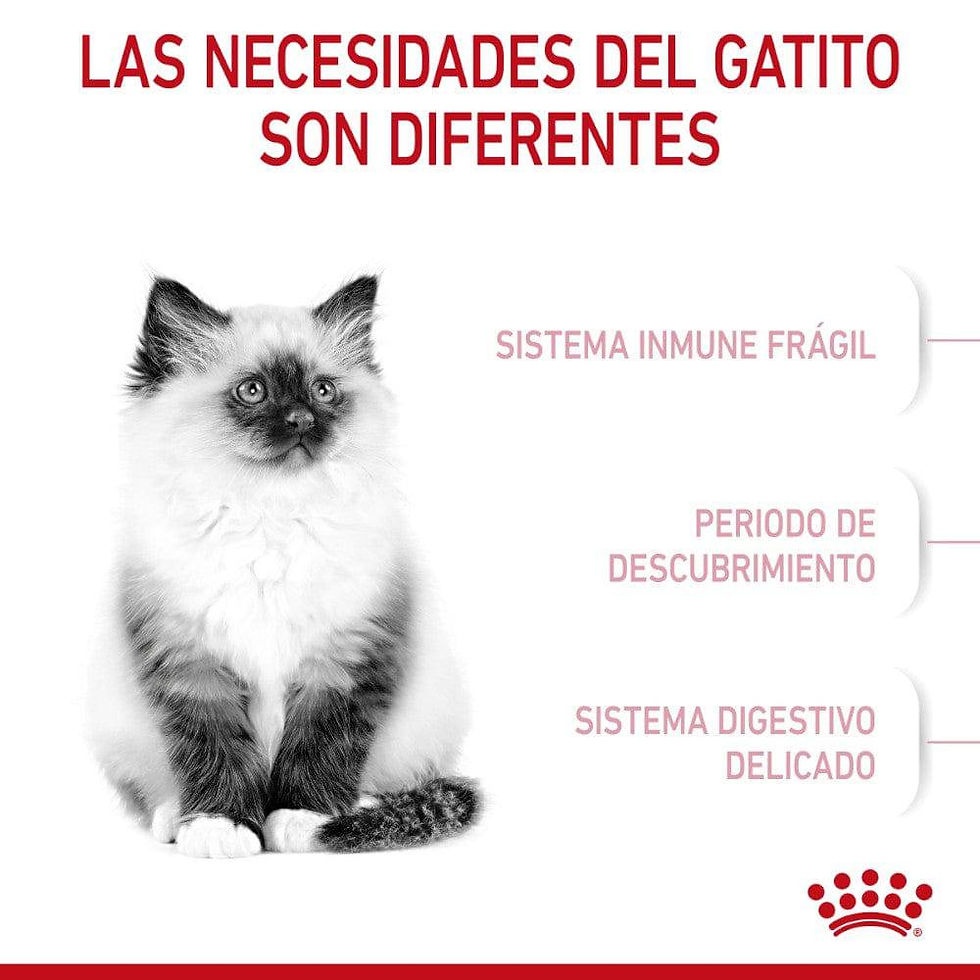 Miniatura: Royal Canin Kitten | Royal Canin