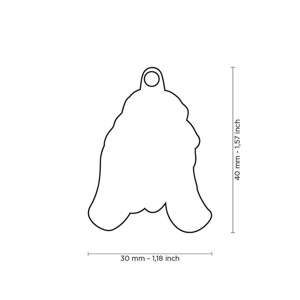 Placa de identificación Basset Hound | My Family