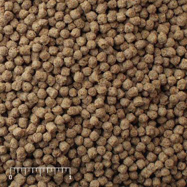Exotic Gamebird Breeder Diet 50 lb. (22.67 kg) | Mazuri