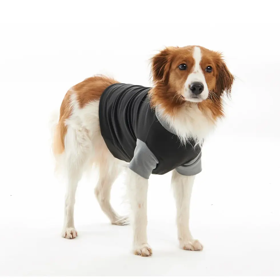 Miniatura: BUSTER Body Suit EasyGo Traje de Recuperación Postquirúrgica | Kruuse