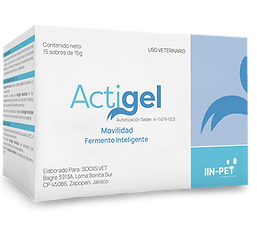 Actigel Movilidad 