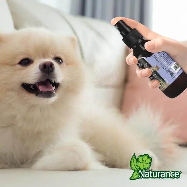 Miniatura: Colonia Holistic Serenidad para Perros 120ml | Naturance