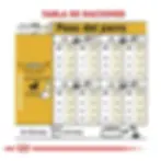 Miniatura: Royal Canin Chihuahua Adult | Royal Canin