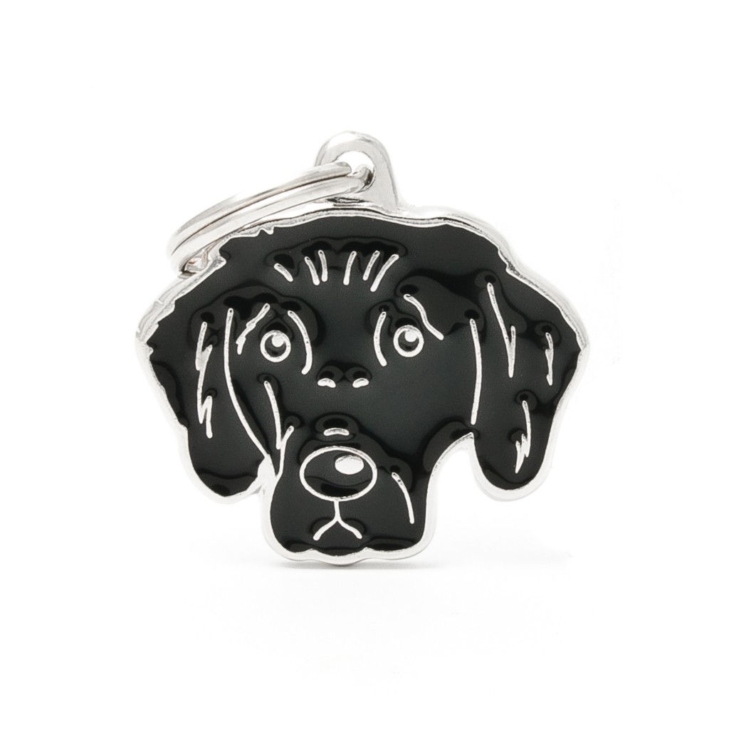 Placa de identificación Retriever de pelo liso | My Family