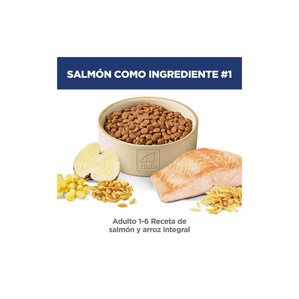 Miniatura: Hill's Science Diet Adult Original Salmón | Hill's