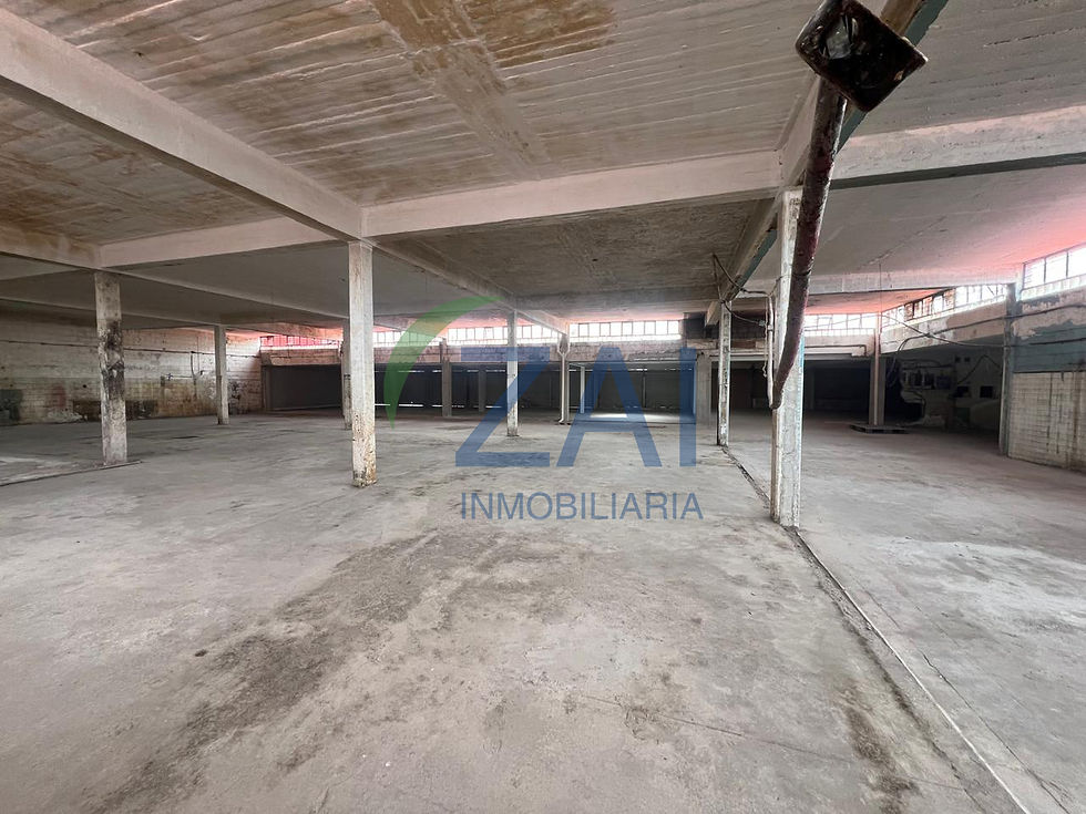 Miniatura: L1001 - foto 4