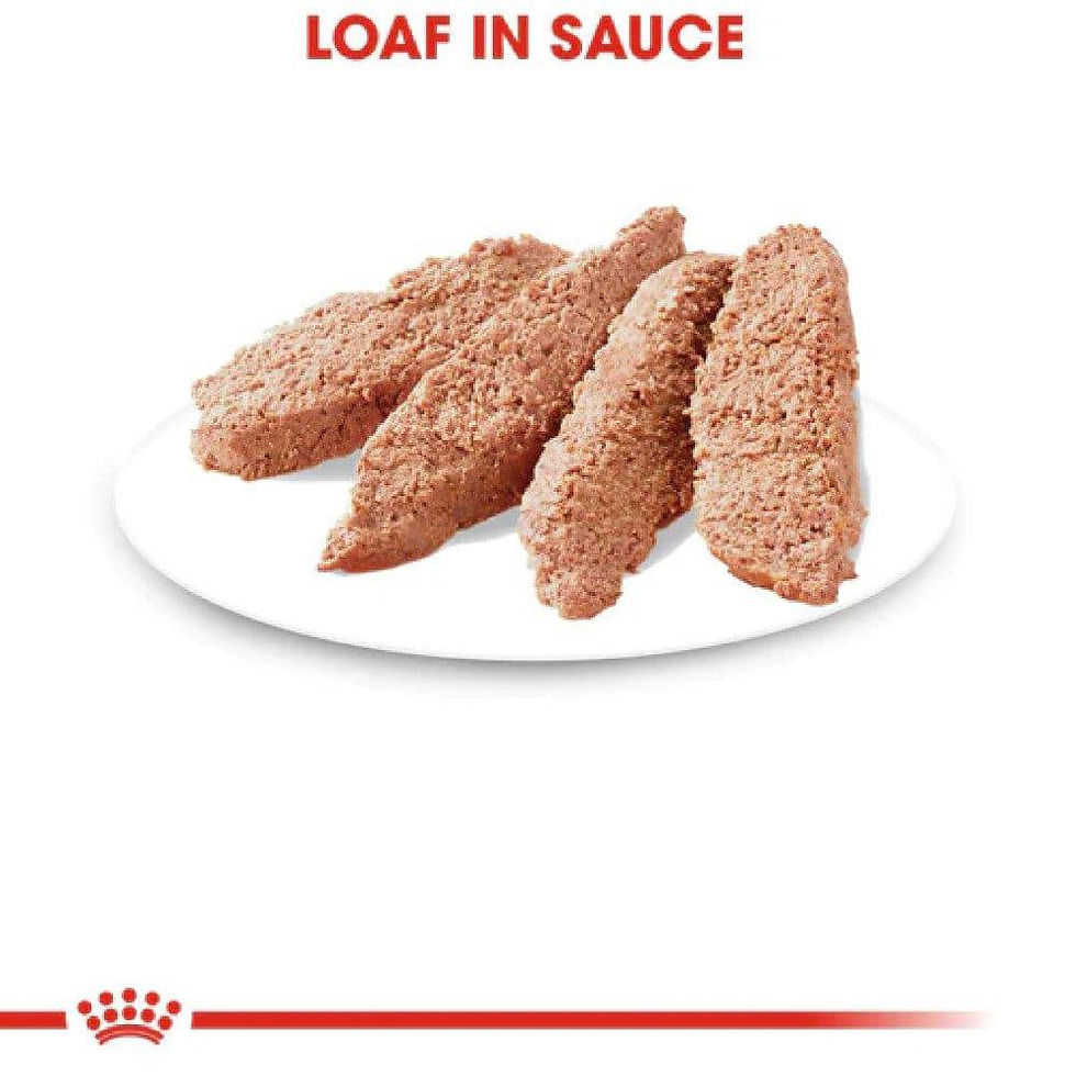 Miniatura: Royal Canin Weight Care Loaf In Sauce Lata 145g | Royal Canin