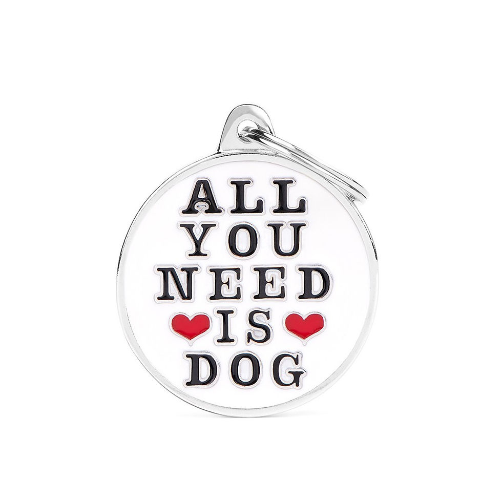Placa de identificación All You Need Is Dog | My Family
