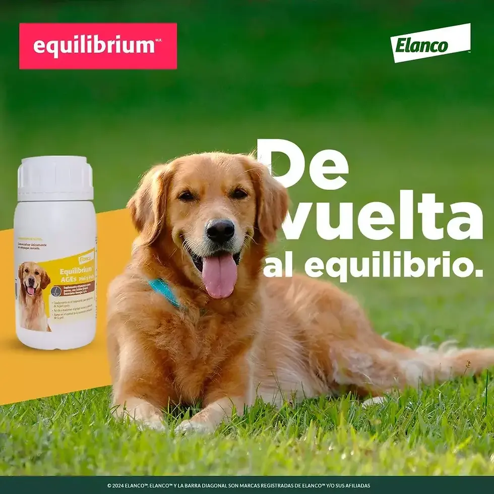 Equilibrium Ages Piel y Pelo 60 tabletas | Elanco