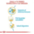 Miniatura: Royal Canin Golden Retriever Puppy 13.61KG | Royal Canin