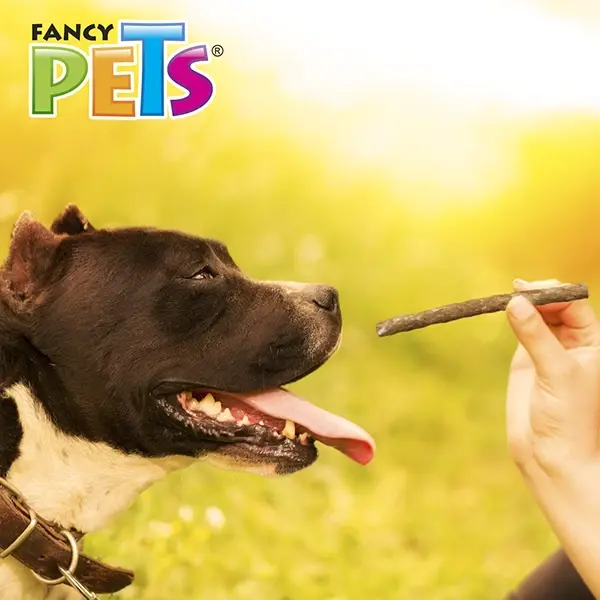 Palitos de Carnaza Sabor Res 20 Piezas | Fancy Pets
