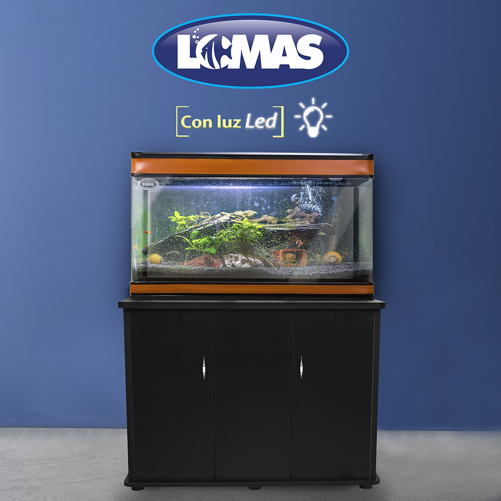 Miniatura: Kit de acuario Duralumin Alto con luz led 200L | Lomas