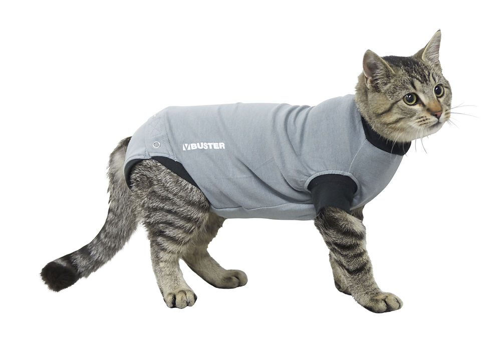 Miniatura: BUSTER Body Suit EasyGo Traje de Recuperación Postquirúrgica | Kruuse