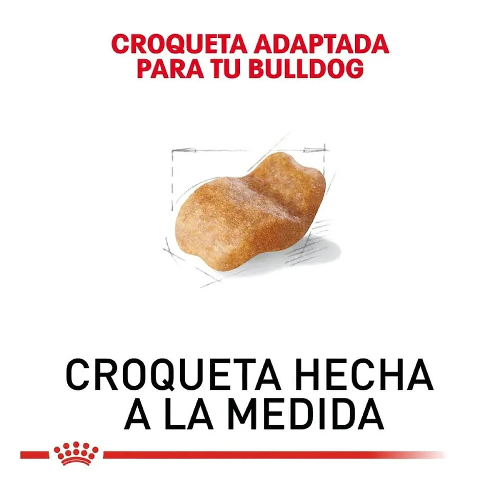 Miniatura: Royal Canin Bulldog Adult | Royal Canin