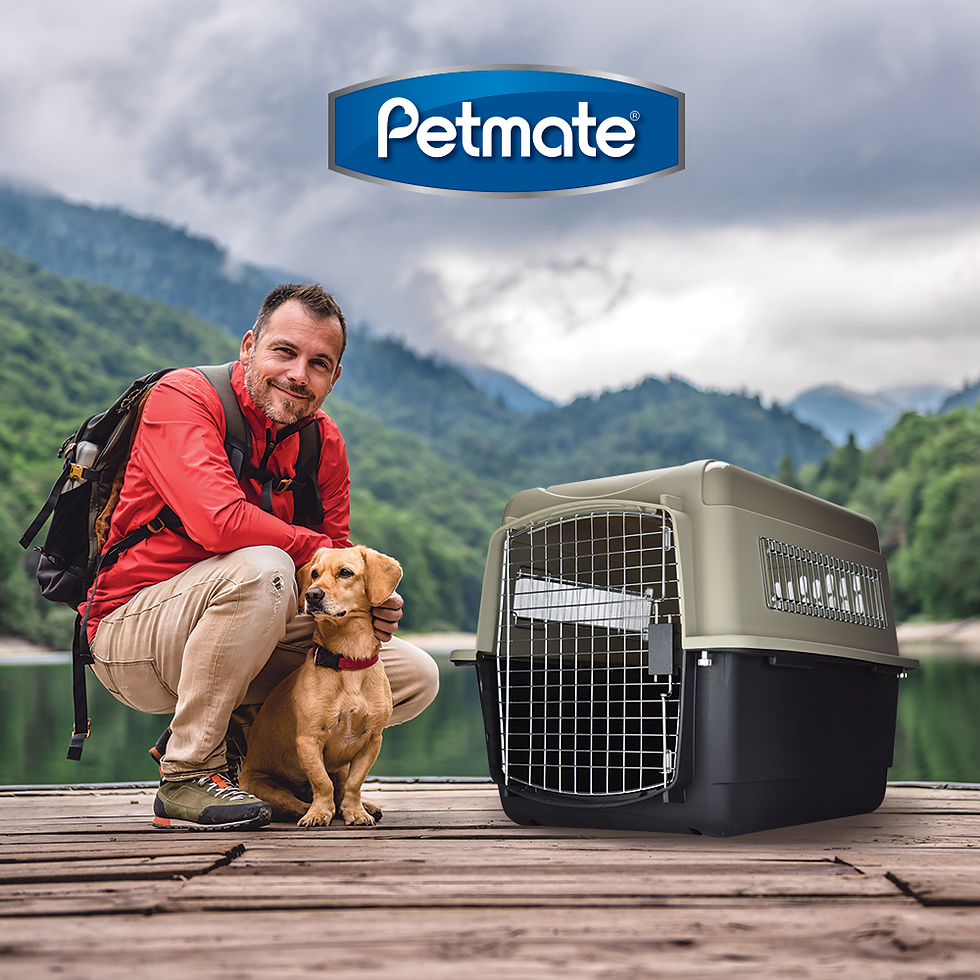 Miniatura: Transportadora Vari Kennel Intermedia | Petmate